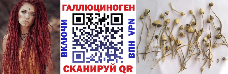 Галлюциногенные грибы MAGIC MUSHROOMS  Нерюнгри 