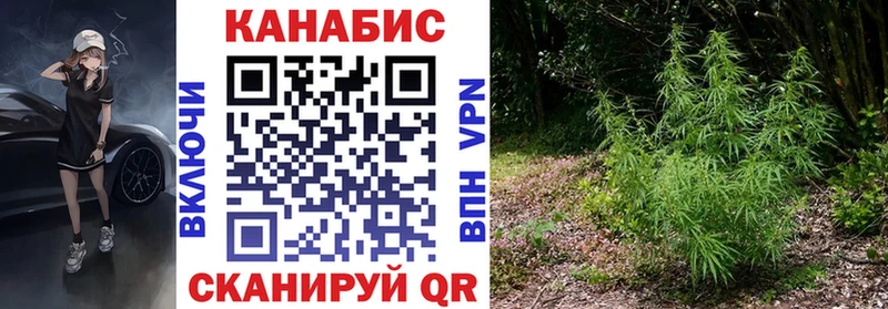 купить закладку  Нерюнгри  Бошки марихуана индика 